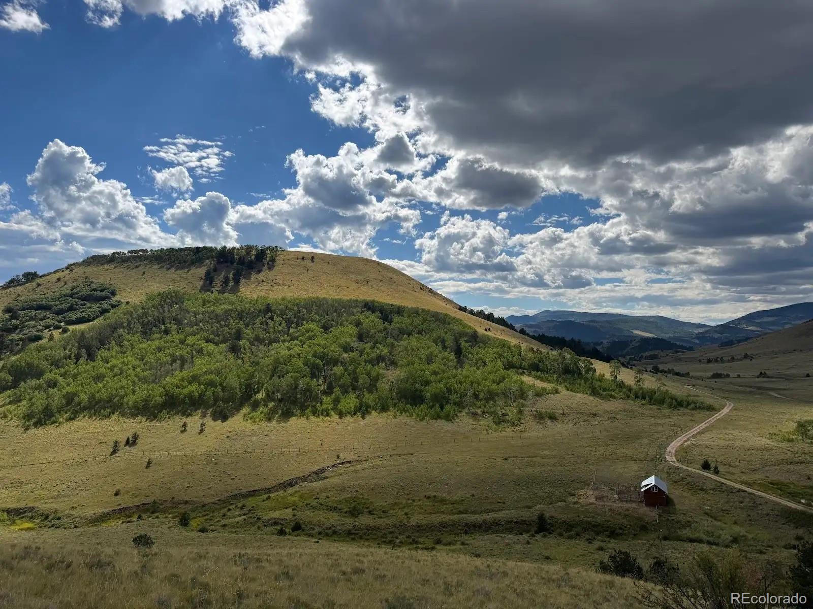 MLS Image #13 for 48  grouse run,cotopaxi, Colorado
