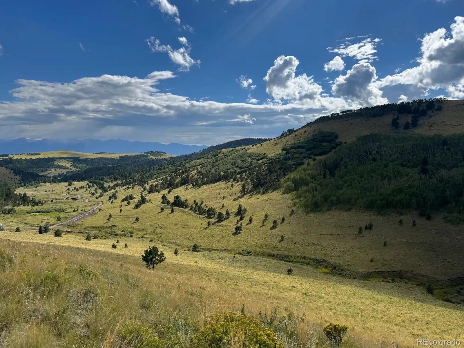 MLS Image #14 for 48  grouse run,cotopaxi, Colorado