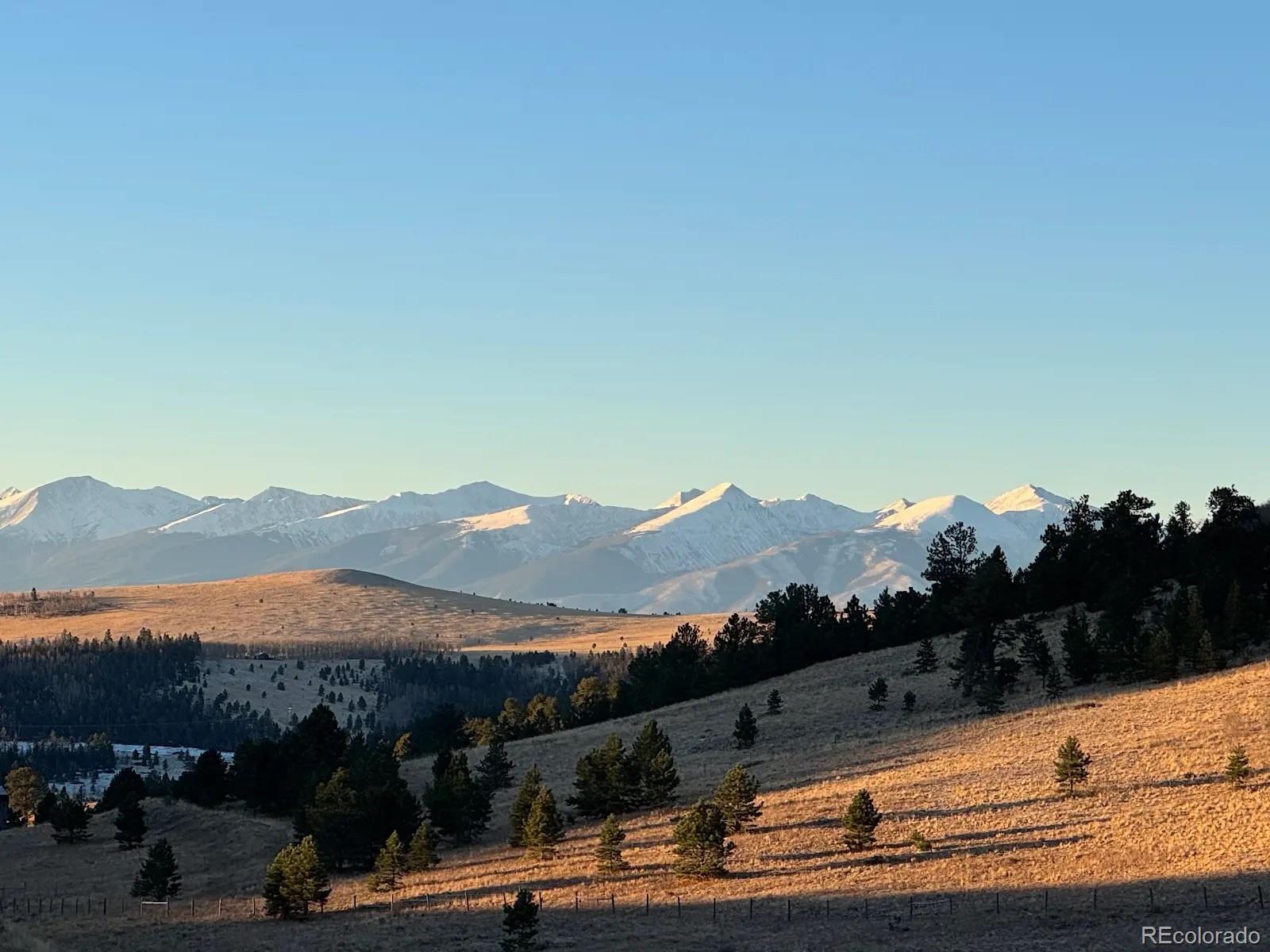 MLS Image #15 for 48  grouse run,cotopaxi, Colorado