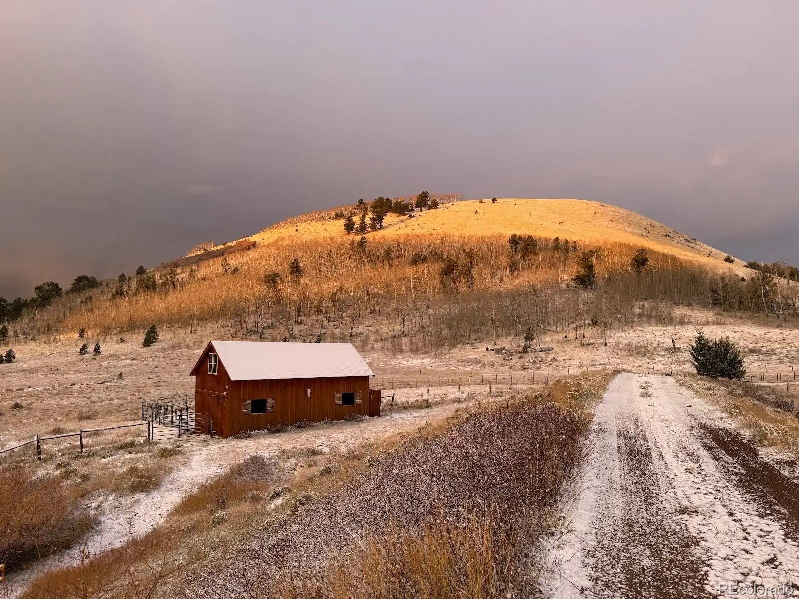 MLS Image #16 for 48  grouse run,cotopaxi, Colorado
