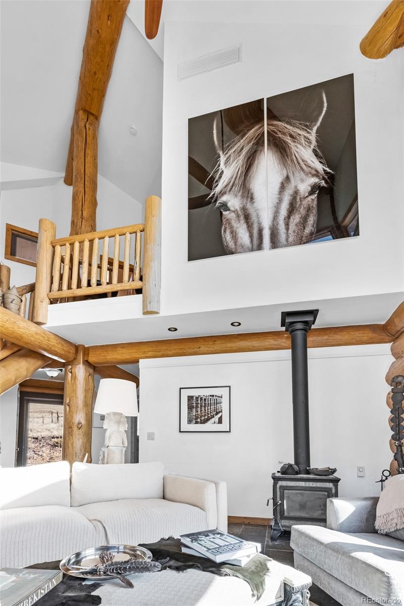 MLS Image #34 for 48  grouse run,cotopaxi, Colorado