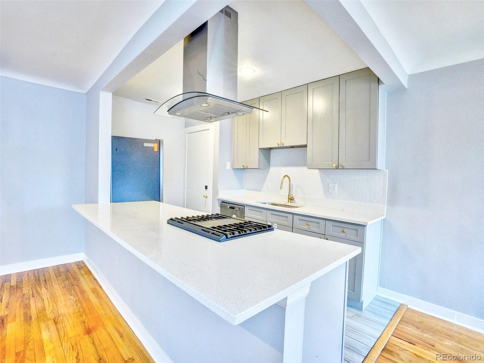 MLS Image #4 for 4101  martin luther king boulevard,denver, Colorado