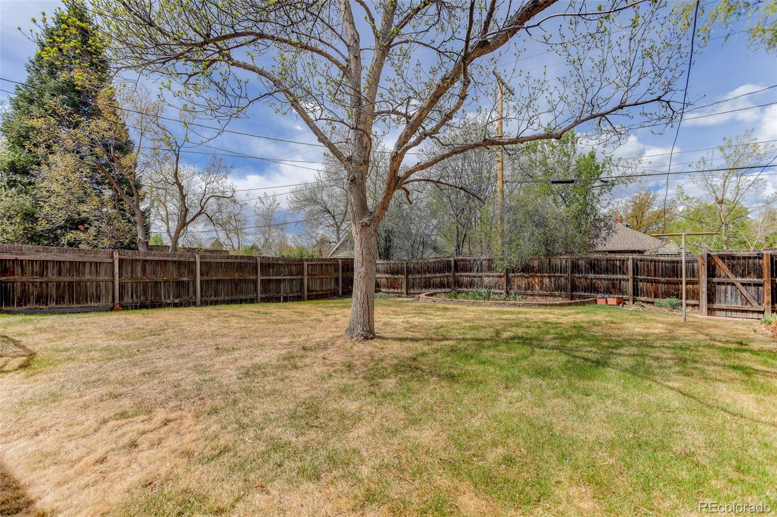 MLS Image #8 for 1381  newport street,denver, Colorado