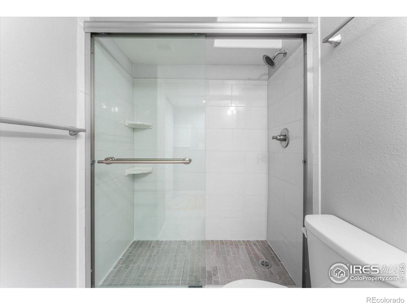 MLS Image #30 for 3525  auntie stone street,fort collins, Colorado