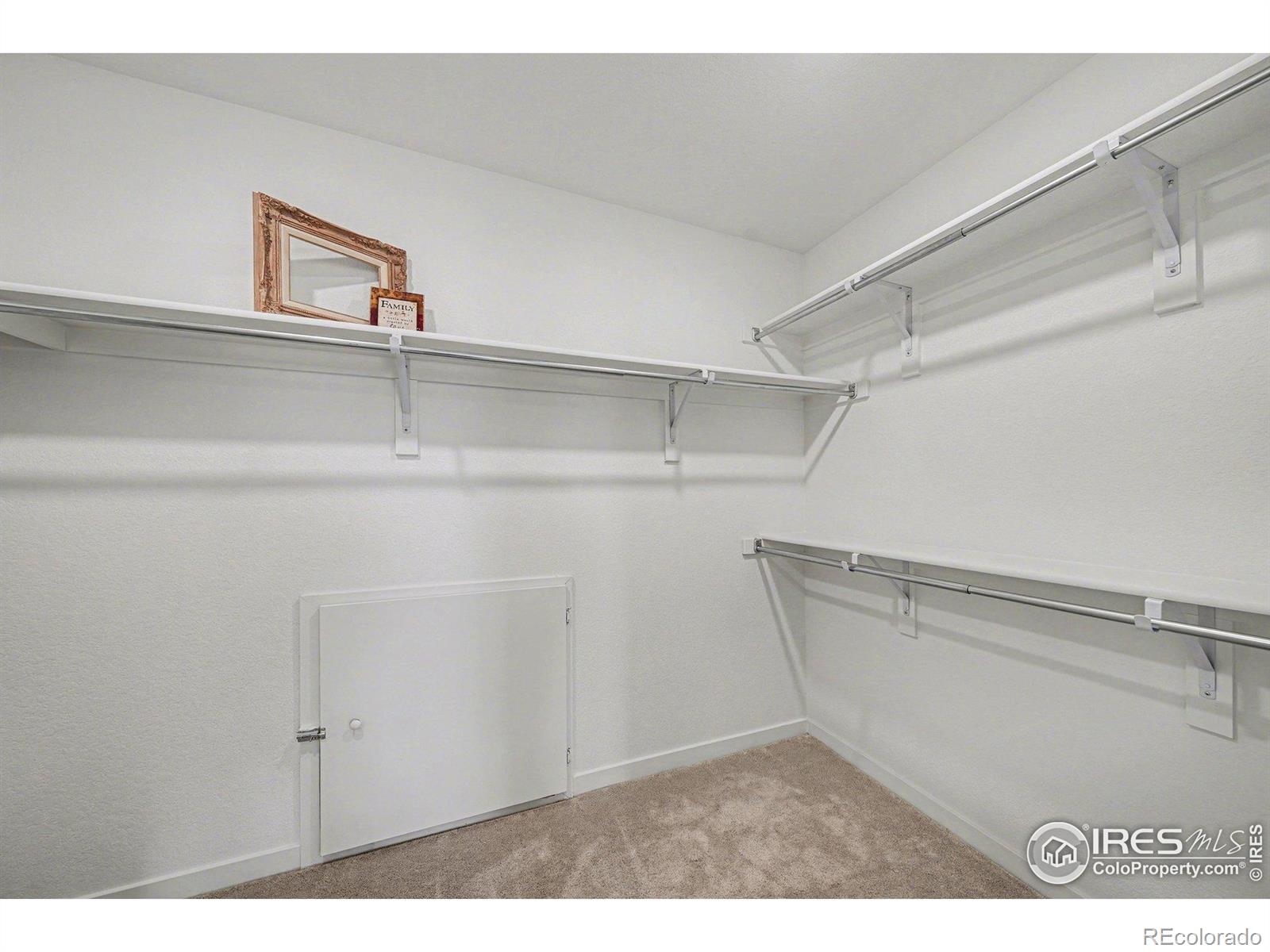 MLS Image #15 for 5548  runge court,timnath, Colorado