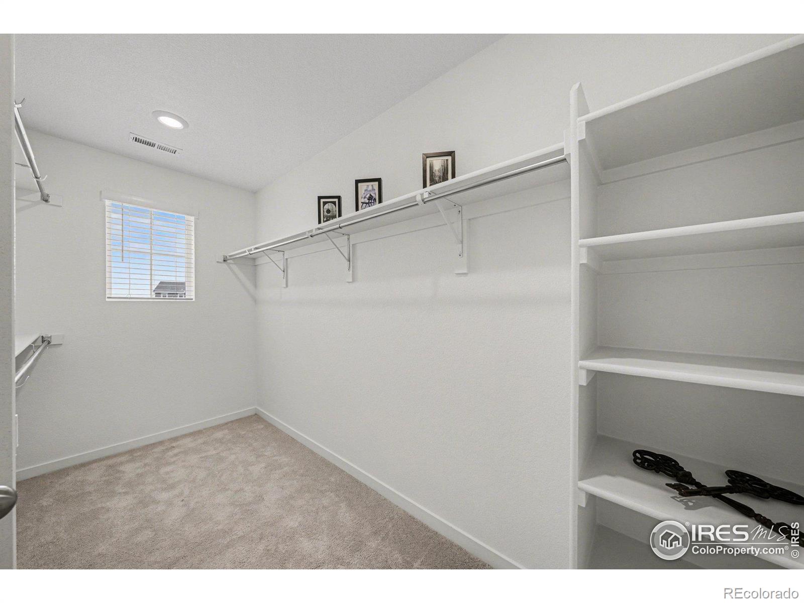 MLS Image #16 for 5548  runge court,timnath, Colorado