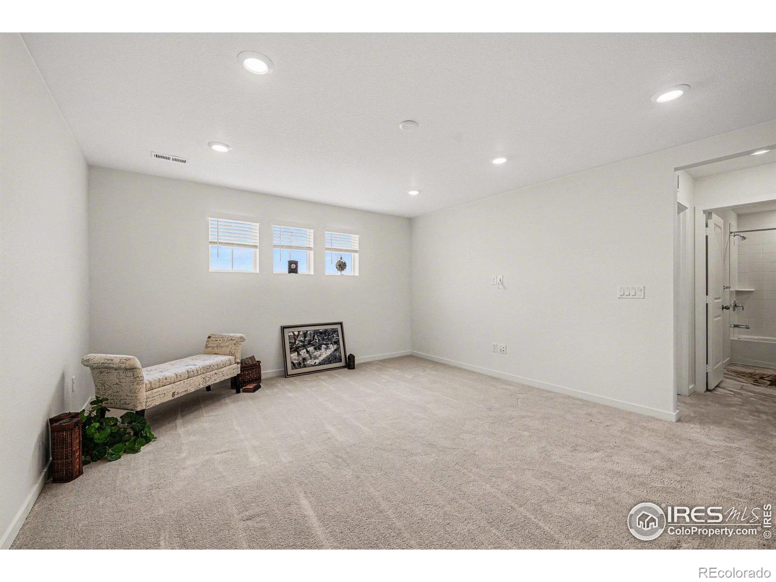 MLS Image #18 for 5548  runge court,timnath, Colorado