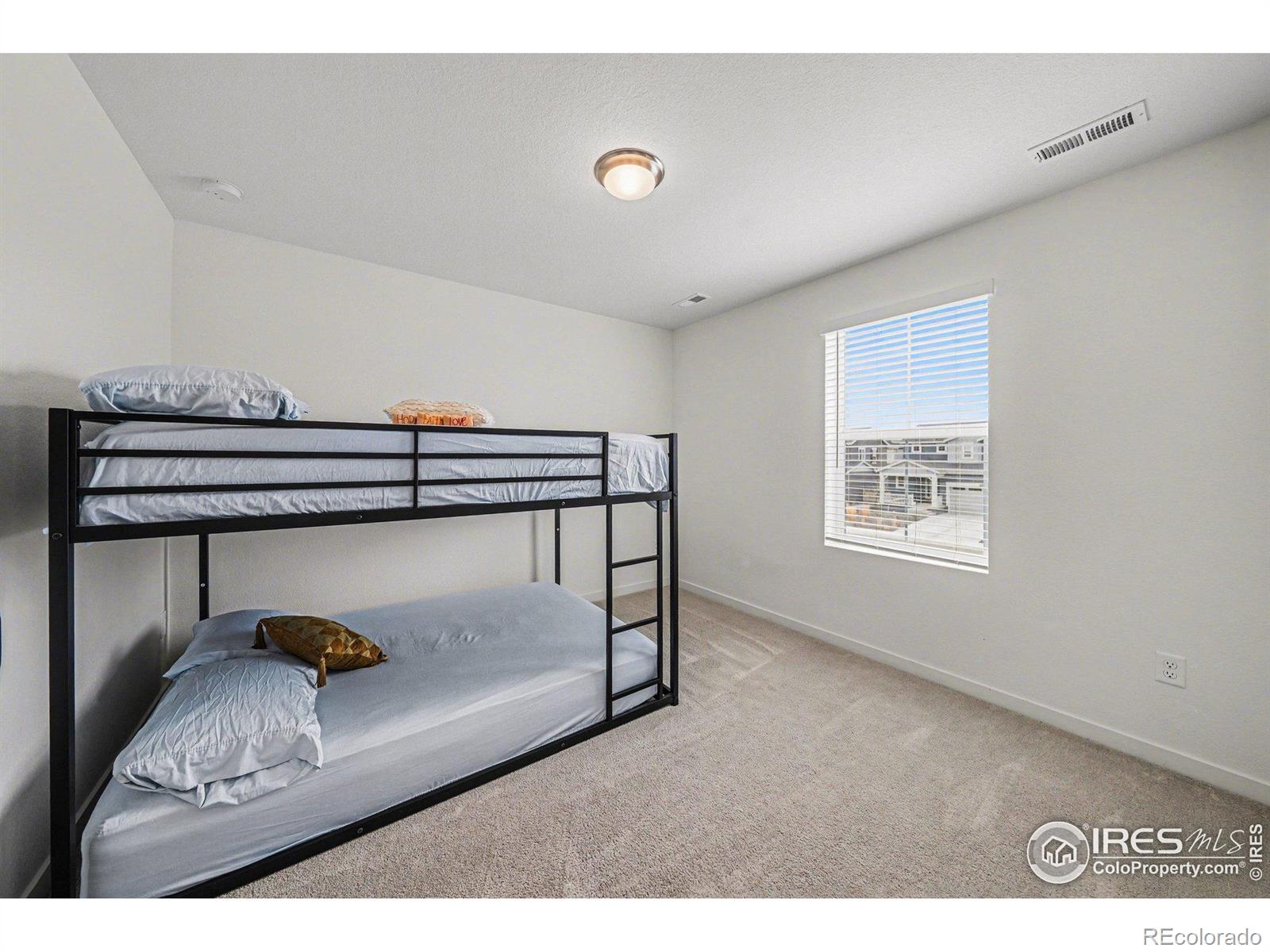 MLS Image #20 for 5548  runge court,timnath, Colorado