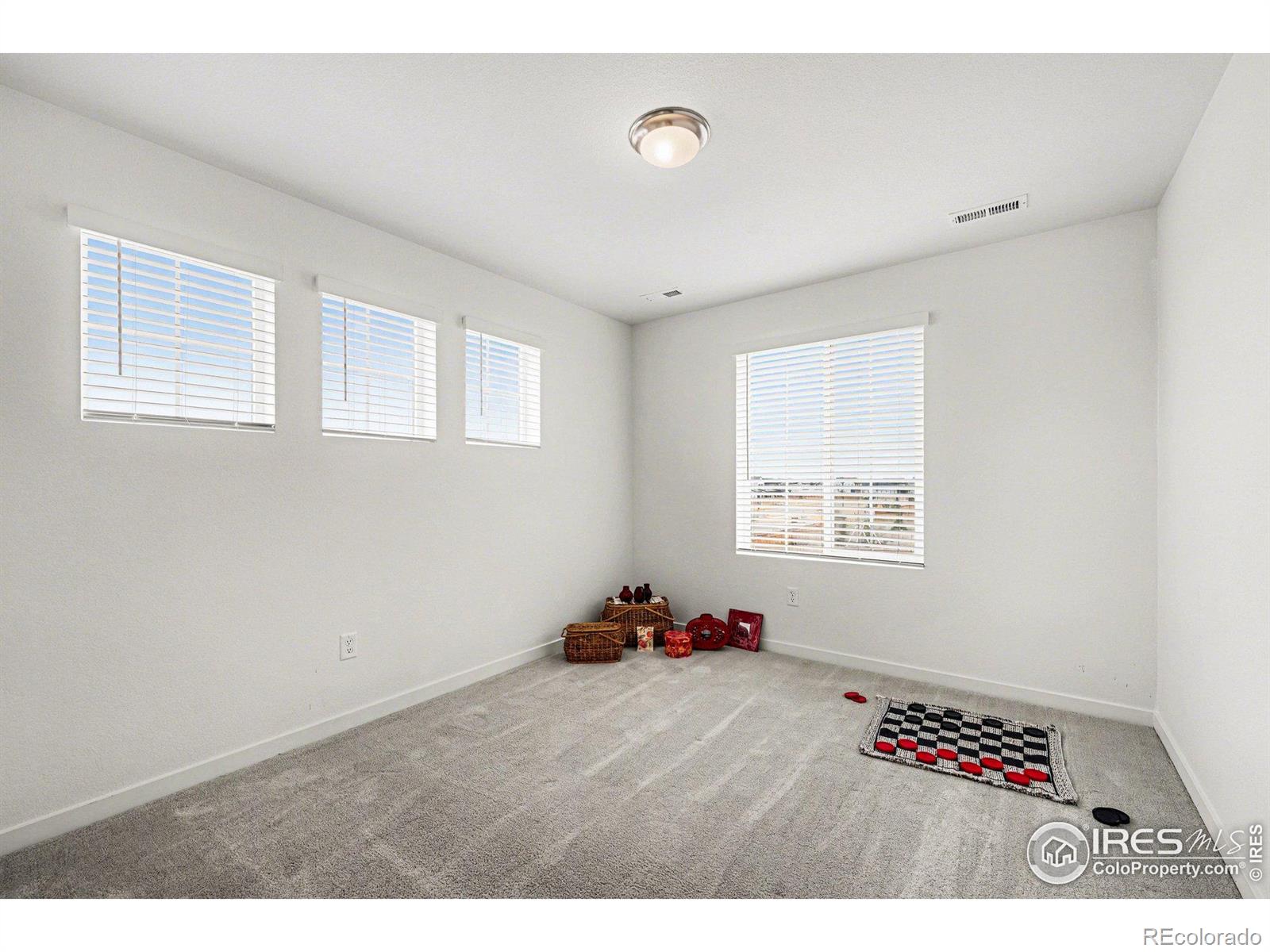 MLS Image #21 for 5548  runge court,timnath, Colorado