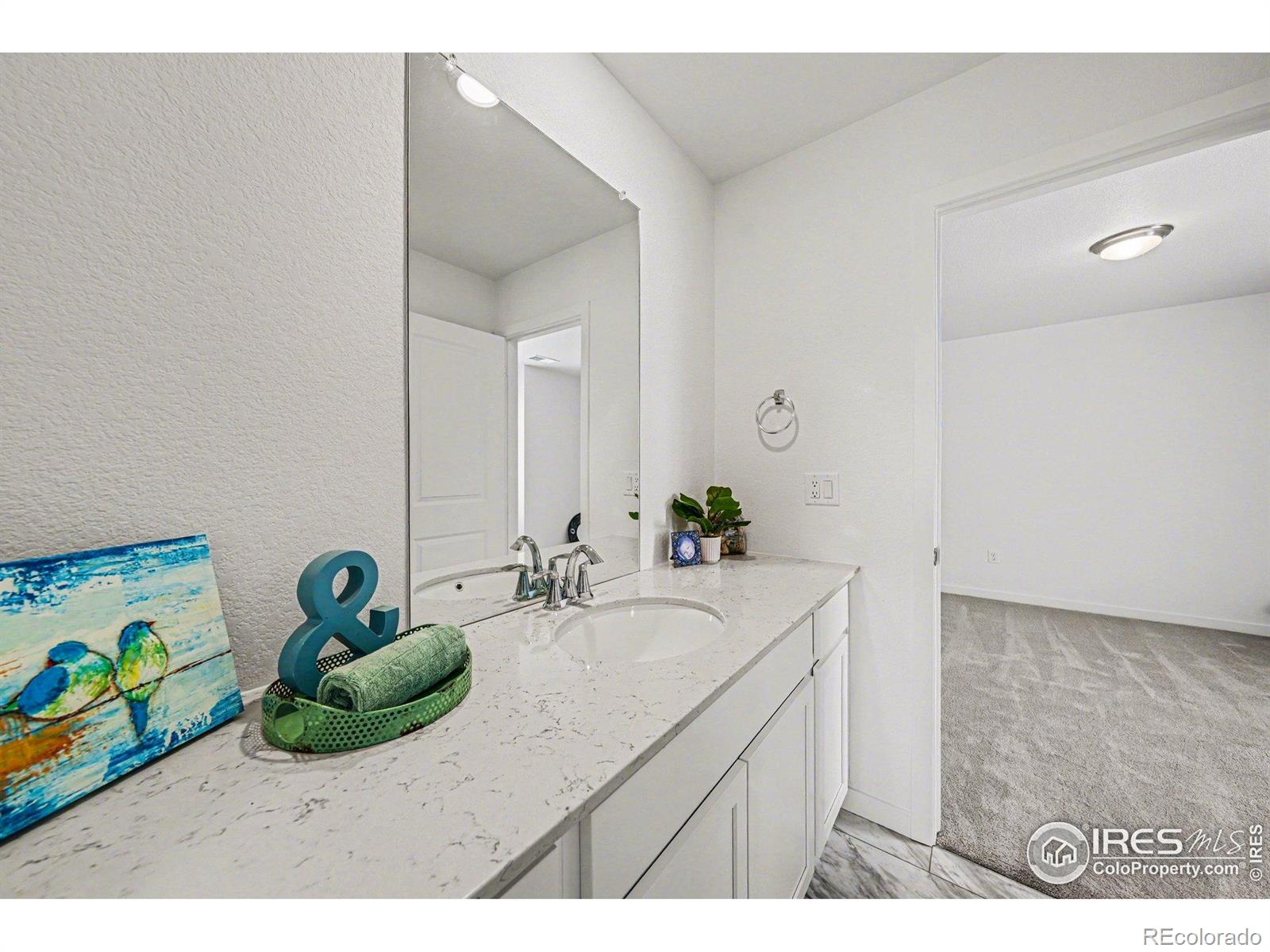 MLS Image #24 for 5548  runge court,timnath, Colorado