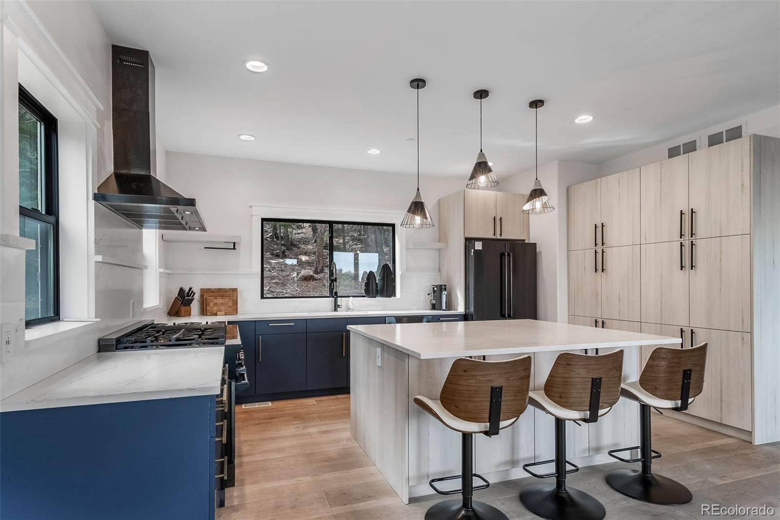 MLS Image #10 for 25553  mountain moss court,evergreen, Colorado