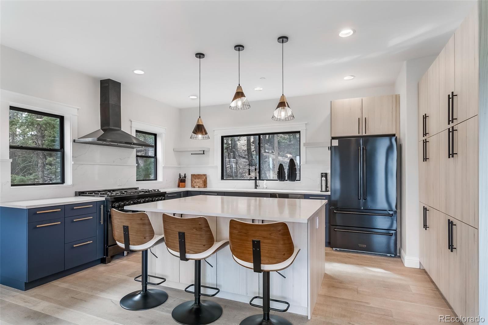MLS Image #11 for 25553  mountain moss court,evergreen, Colorado