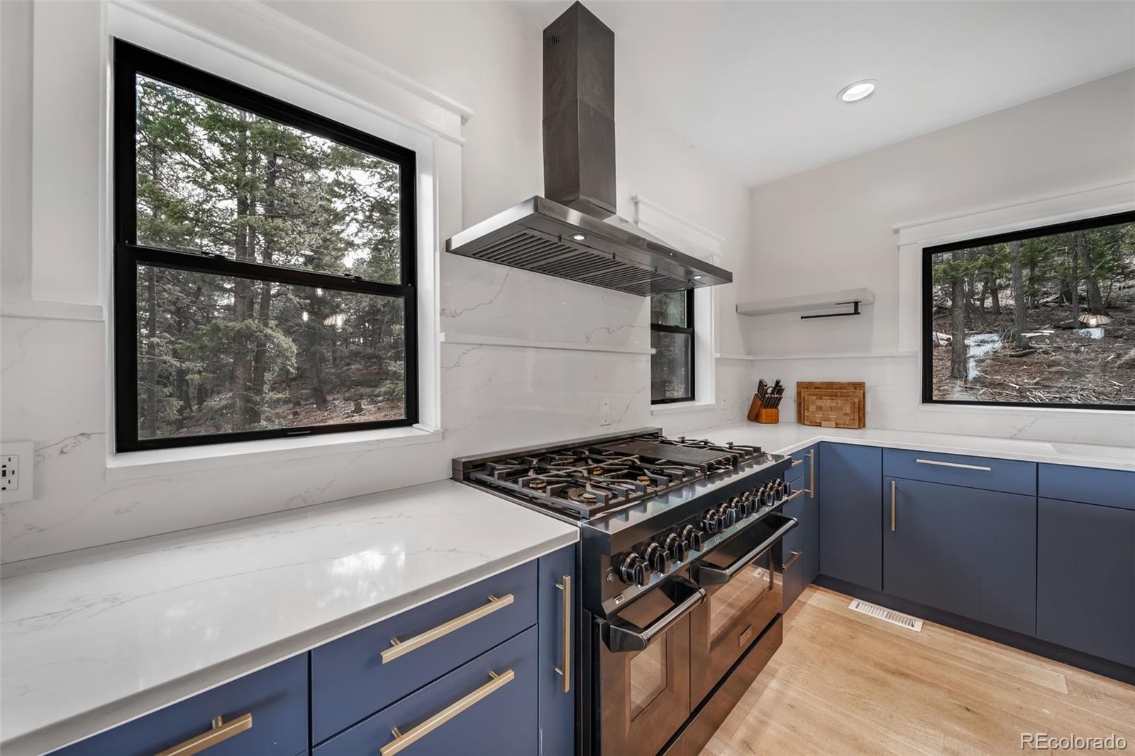 MLS Image #12 for 25553  mountain moss court,evergreen, Colorado
