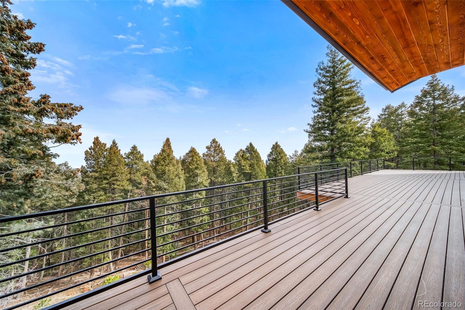 MLS Image #18 for 25553  mountain moss court,evergreen, Colorado