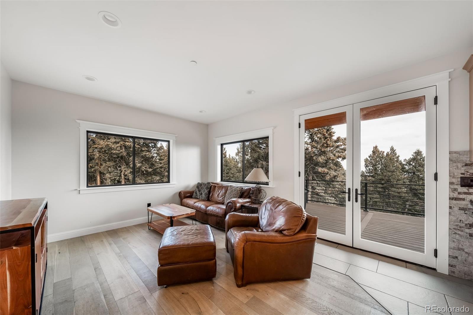 MLS Image #19 for 25553  mountain moss court,evergreen, Colorado
