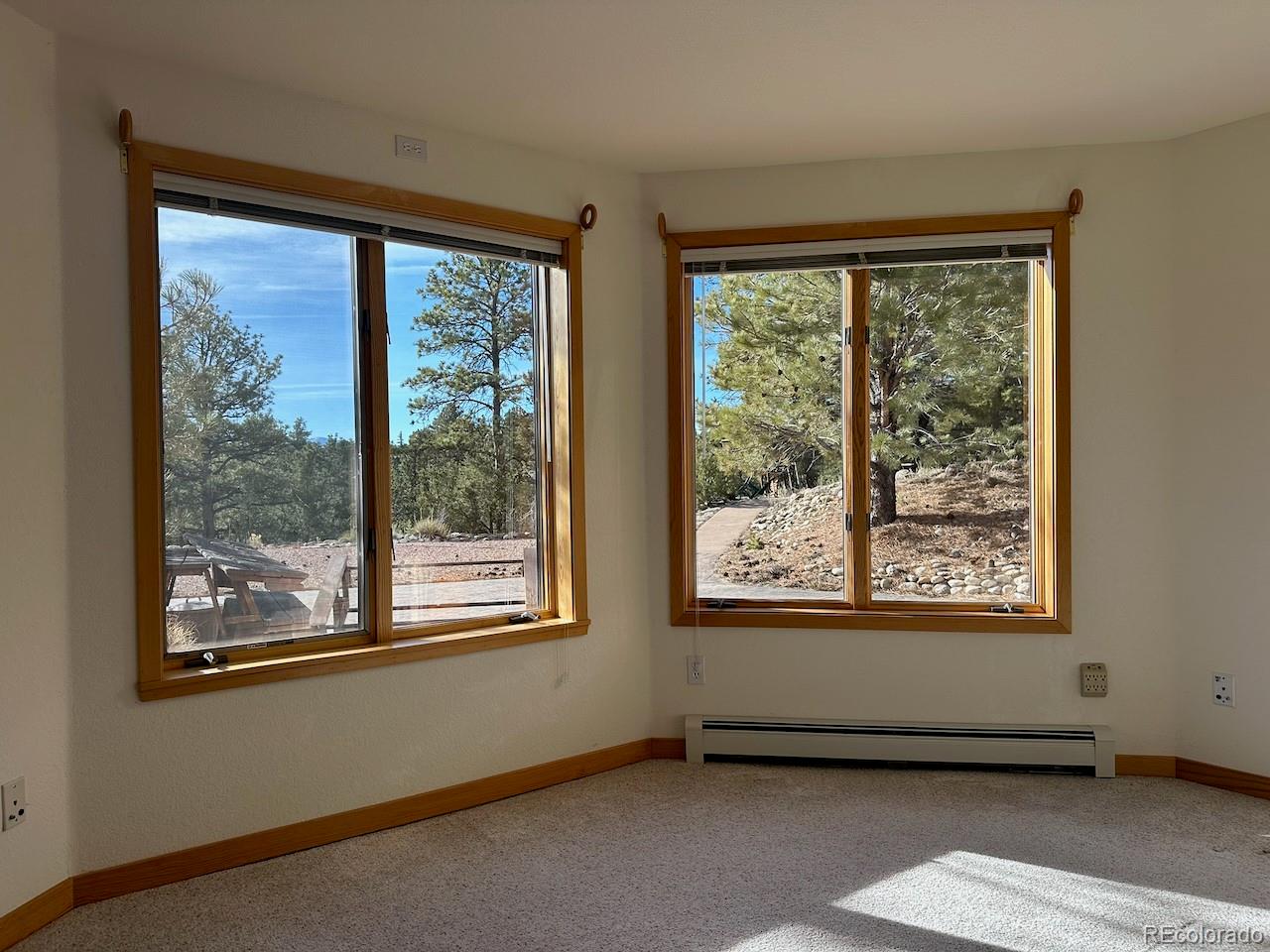 MLS Image #23 for 12880  county road 261b ,nathrop, Colorado