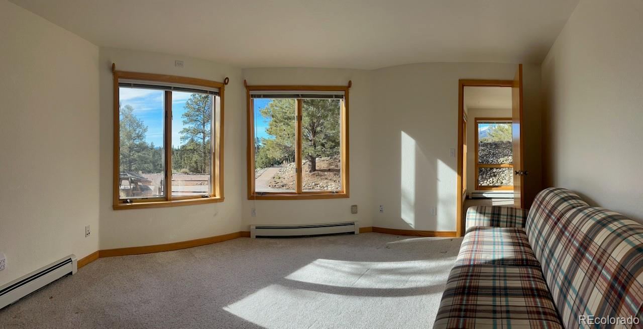 MLS Image #24 for 12880  county road 261b ,nathrop, Colorado