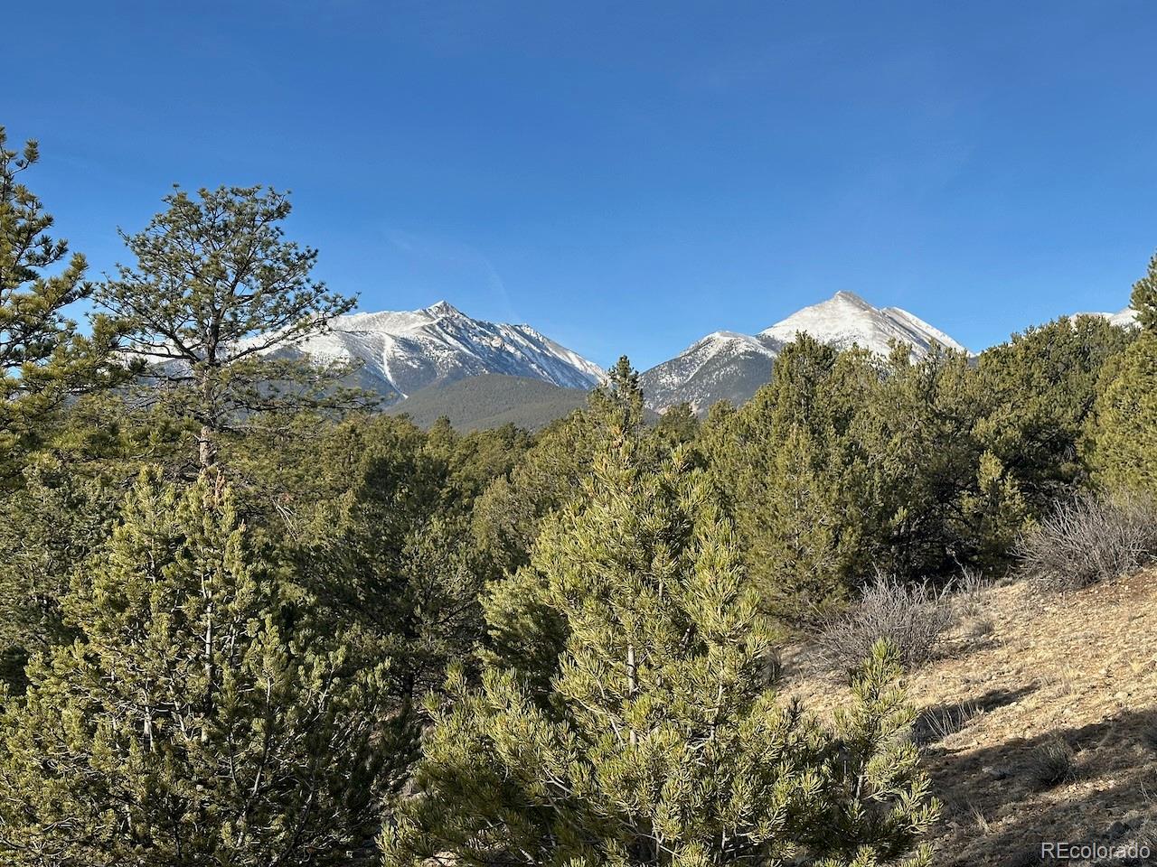 MLS Image #29 for 12880  county road 261b ,nathrop, Colorado