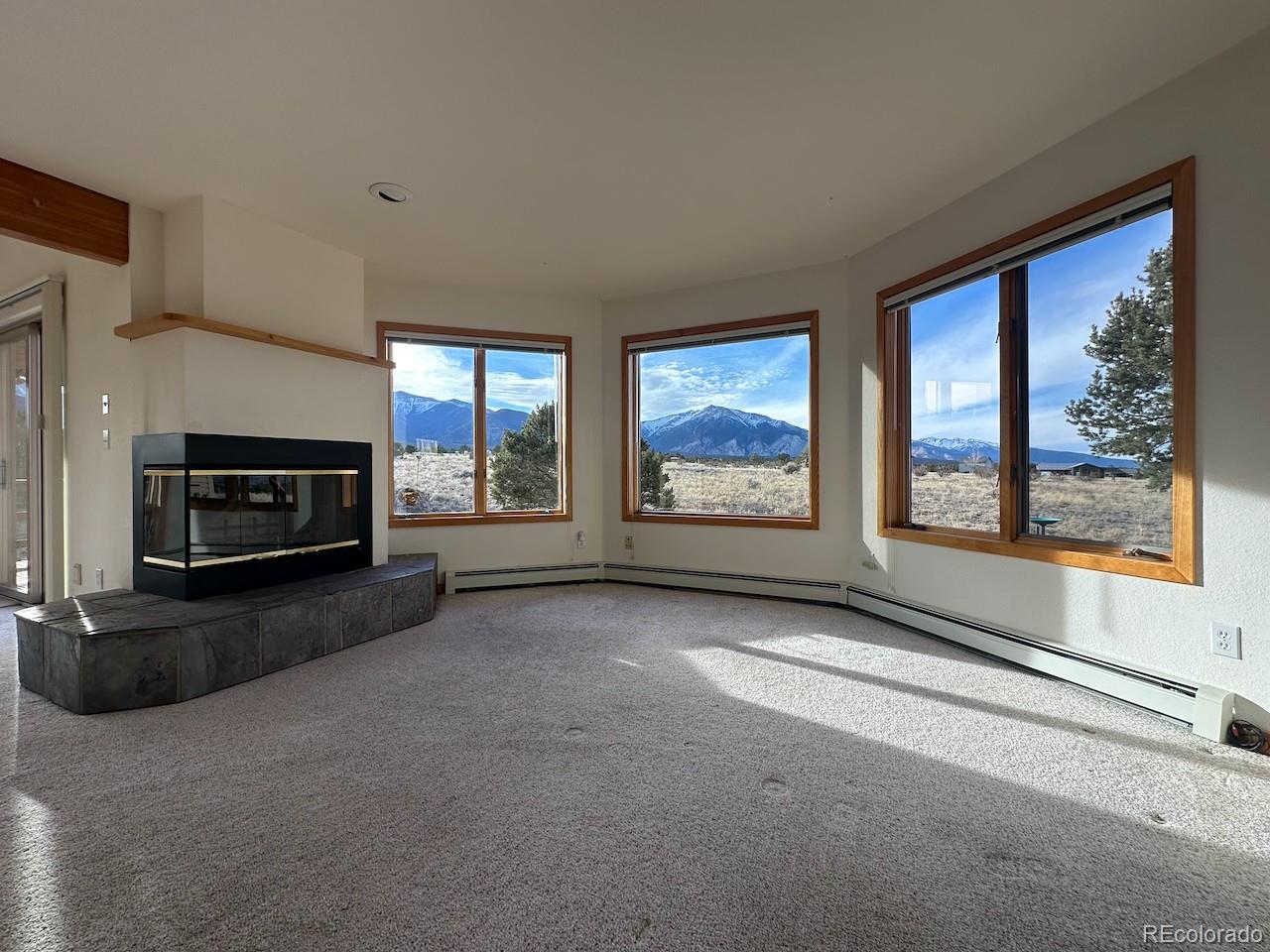 MLS Image #8 for 12880  county road 261b ,nathrop, Colorado