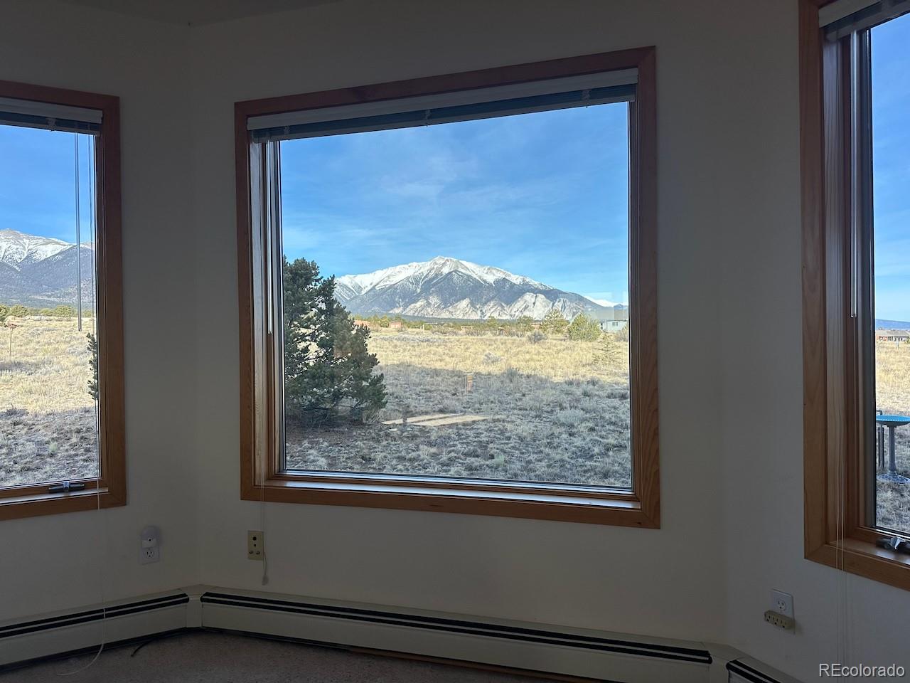 MLS Image #9 for 12880  county road 261b ,nathrop, Colorado