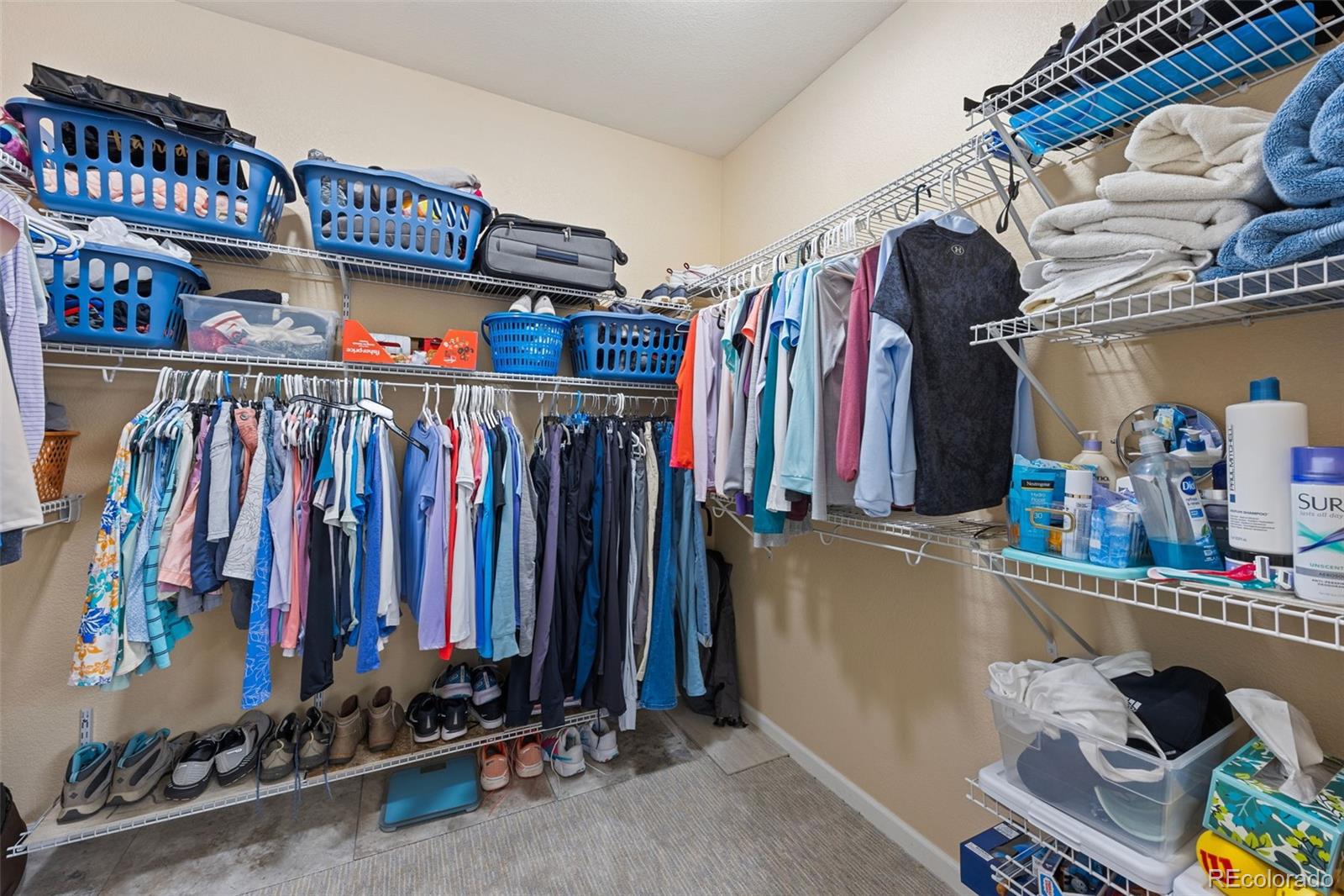 MLS Image #18 for 8558  gold peak lane,highlands ranch, Colorado