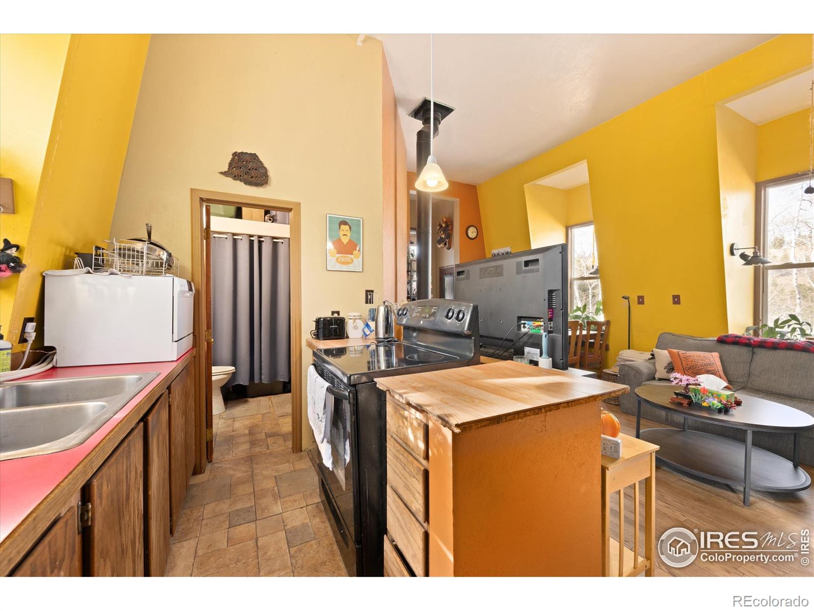MLS Image #12 for 156  mountain meadow lane,bellvue, Colorado