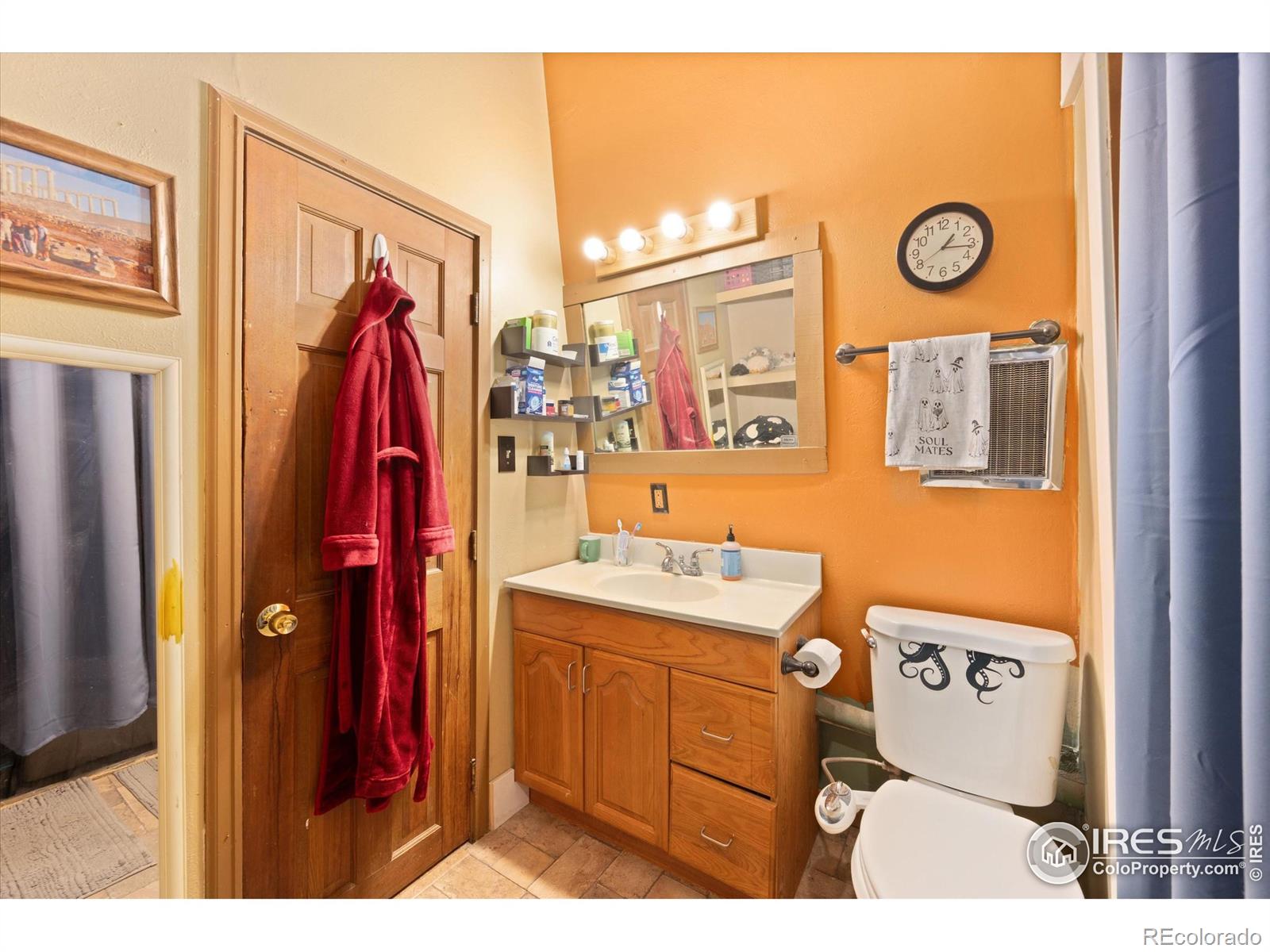 MLS Image #15 for 156  mountain meadow lane,bellvue, Colorado