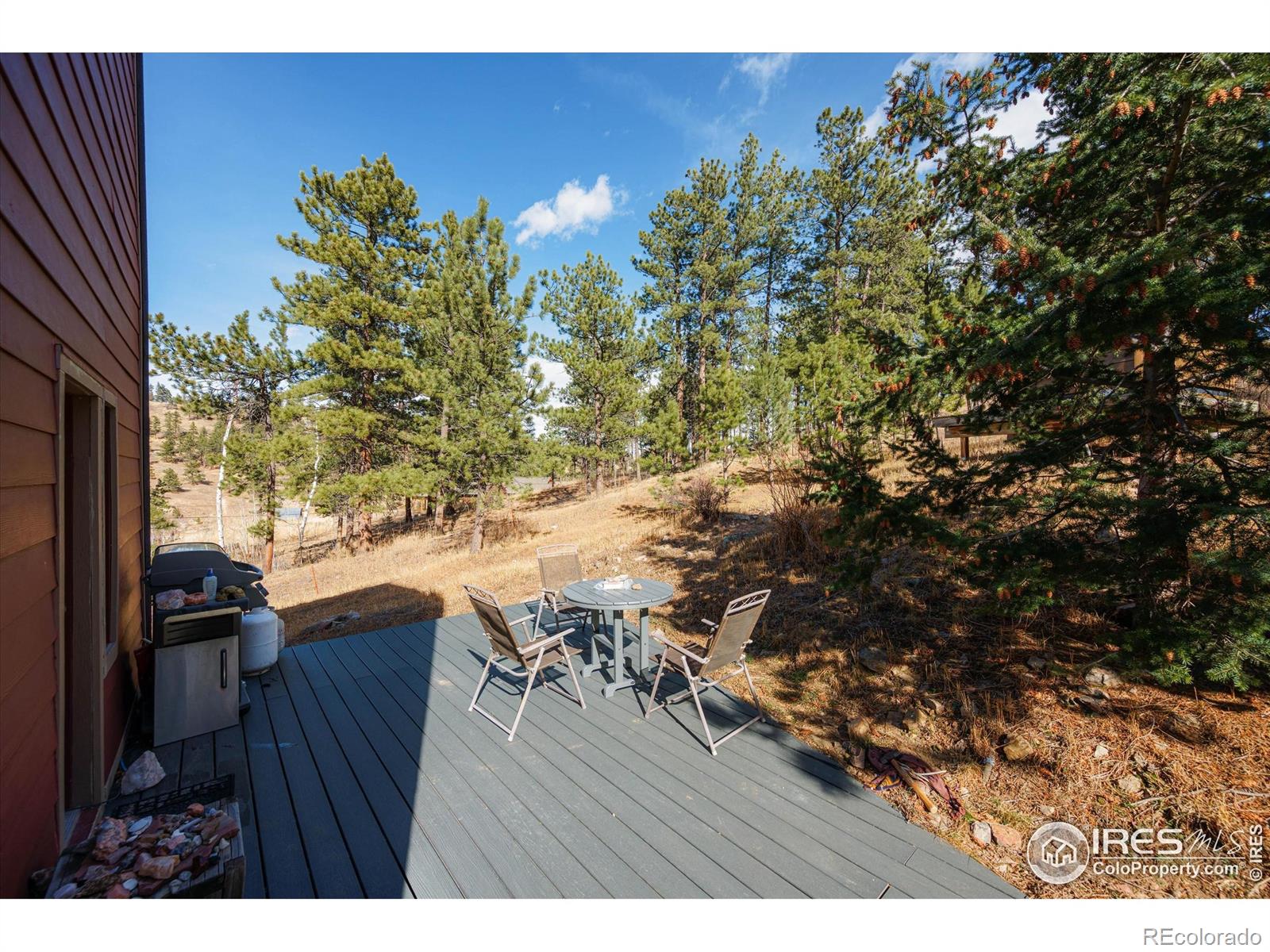 MLS Image #25 for 156  mountain meadow lane,bellvue, Colorado