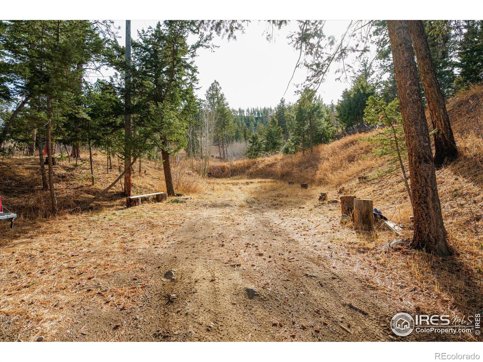 MLS Image #3 for 156  mountain meadow lane,bellvue, Colorado