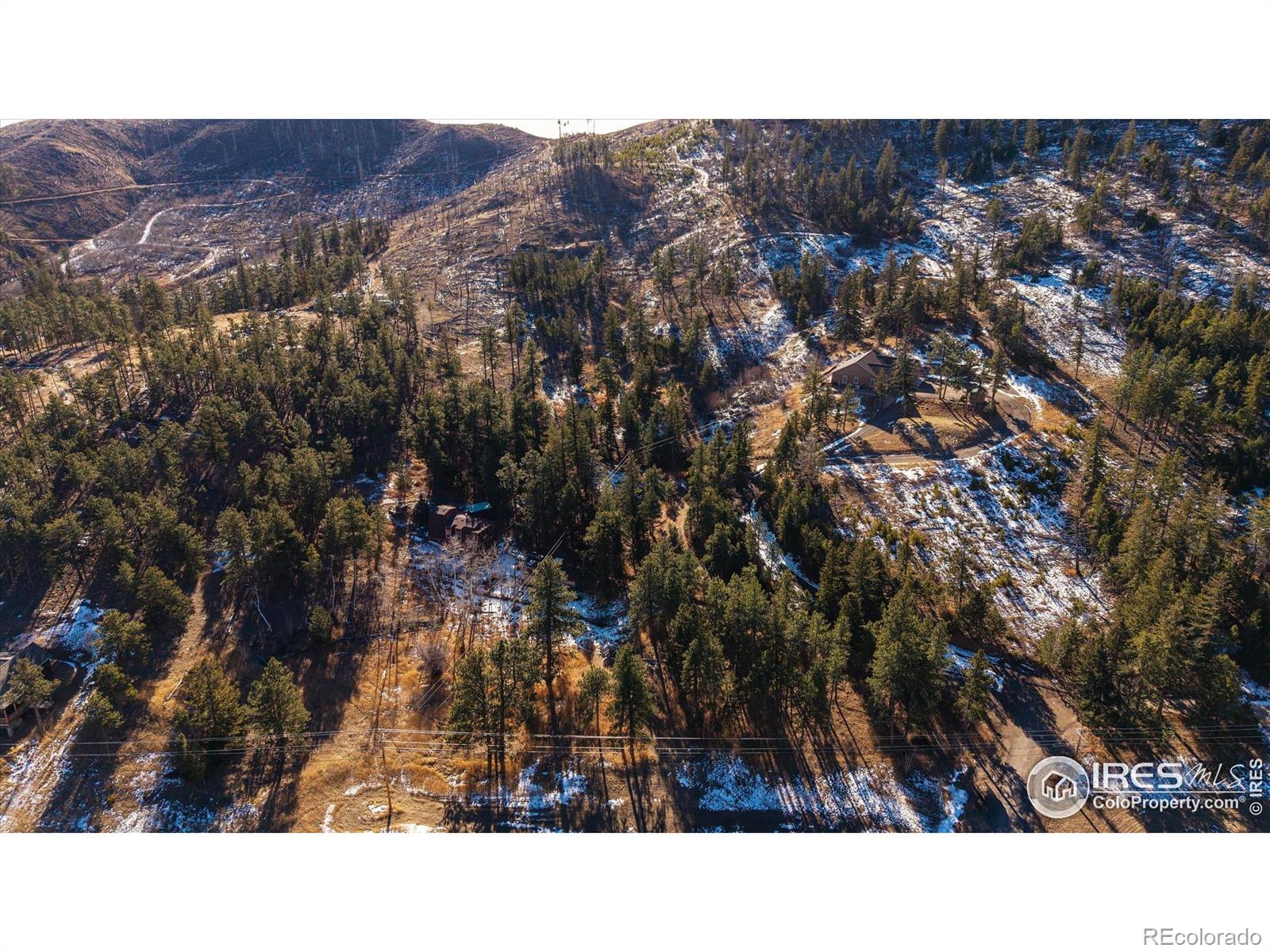 MLS Image #4 for 156  mountain meadow lane,bellvue, Colorado
