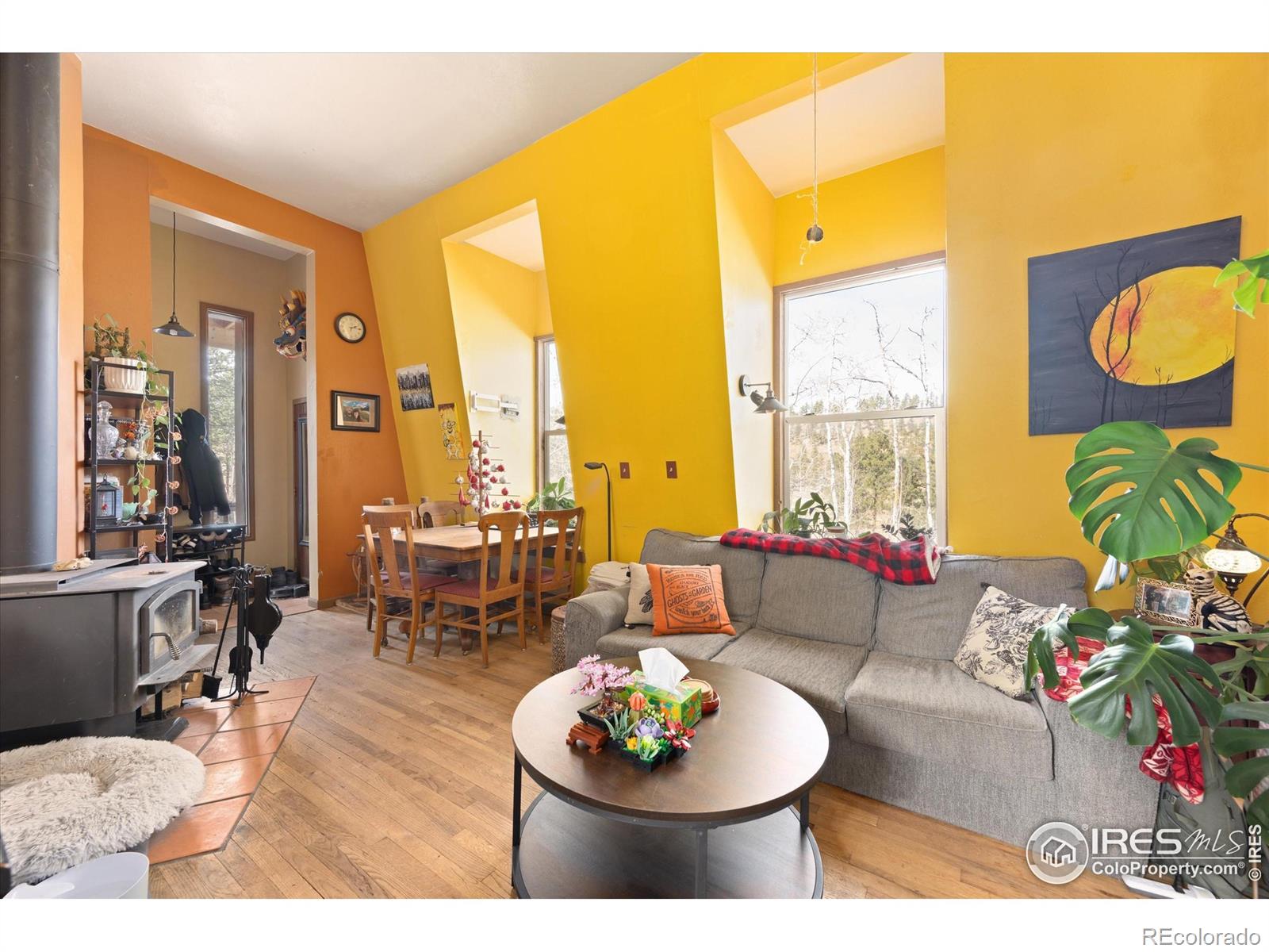 MLS Image #7 for 156  mountain meadow lane,bellvue, Colorado