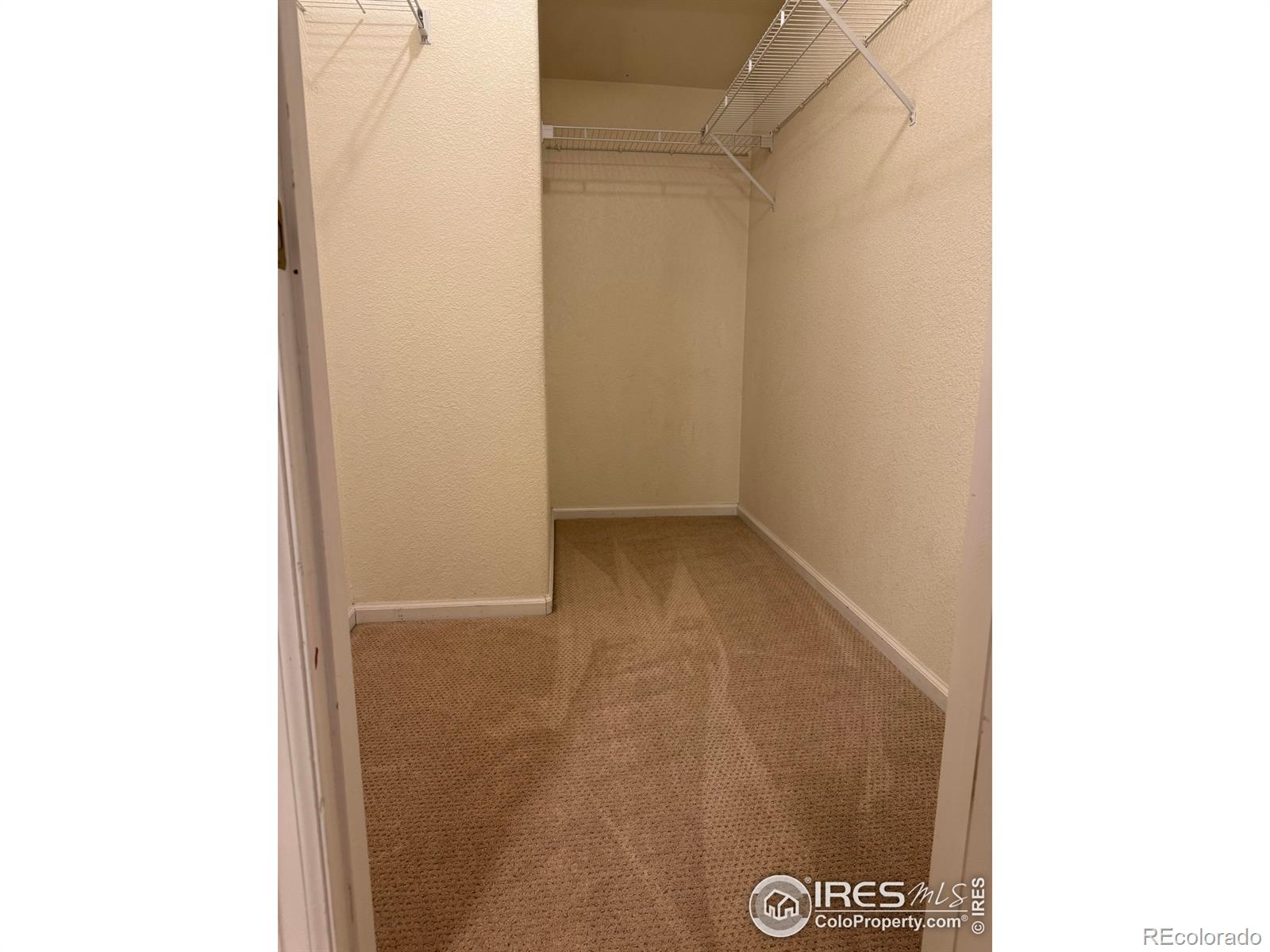 MLS Image #12 for 1601  great western drive,longmont, Colorado