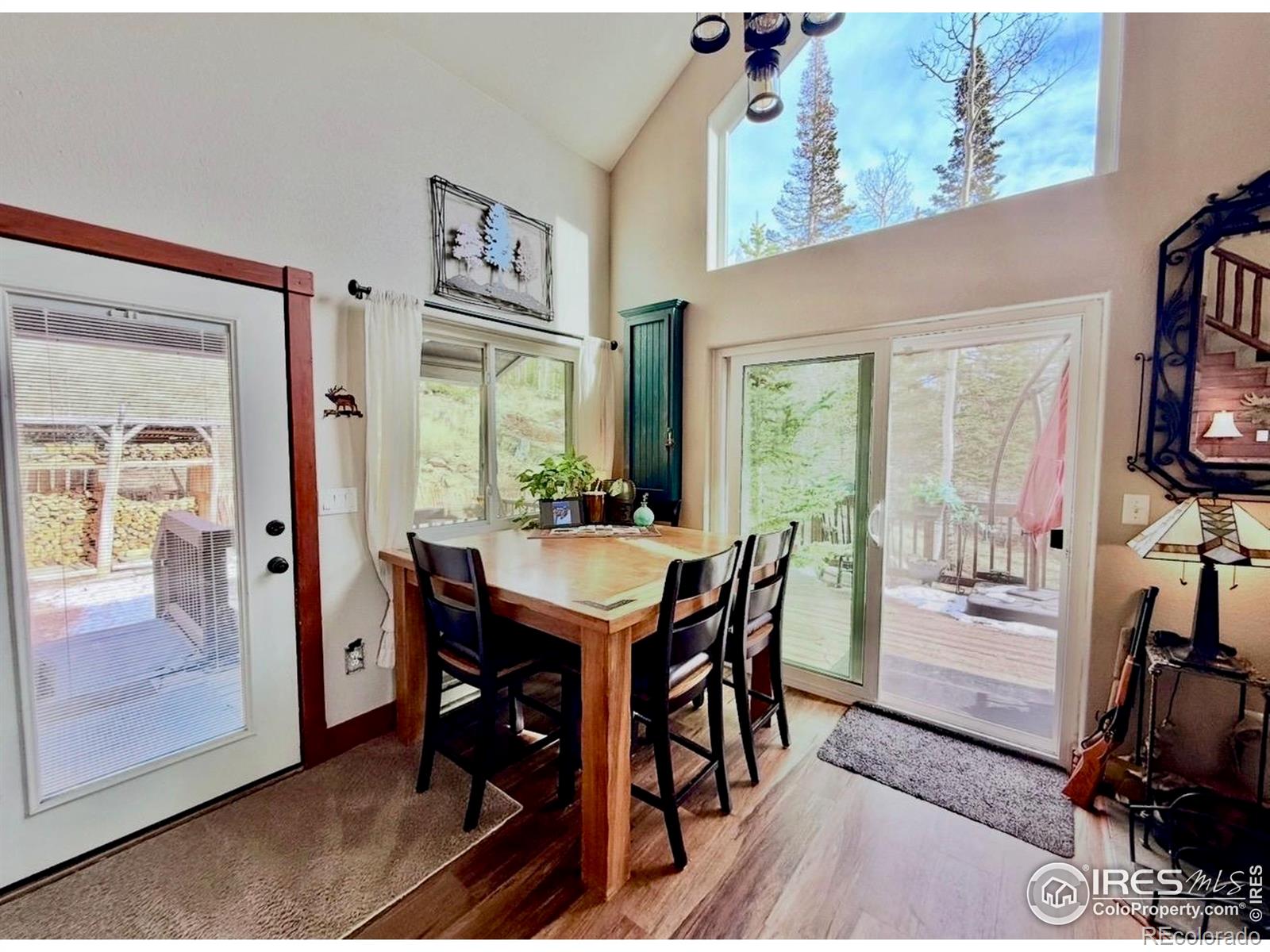 MLS Image #17 for 3689  ottawa way,red feather lakes, Colorado