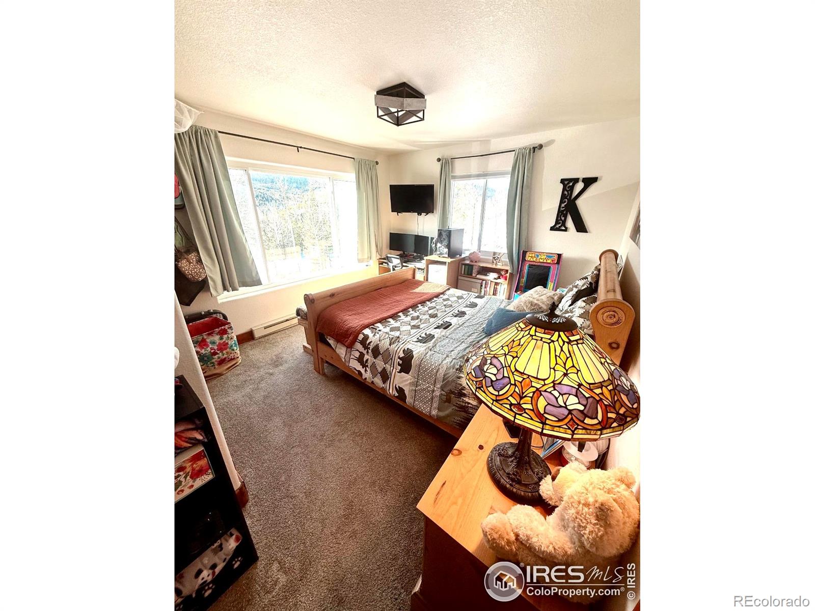 MLS Image #19 for 3689  ottawa way,red feather lakes, Colorado