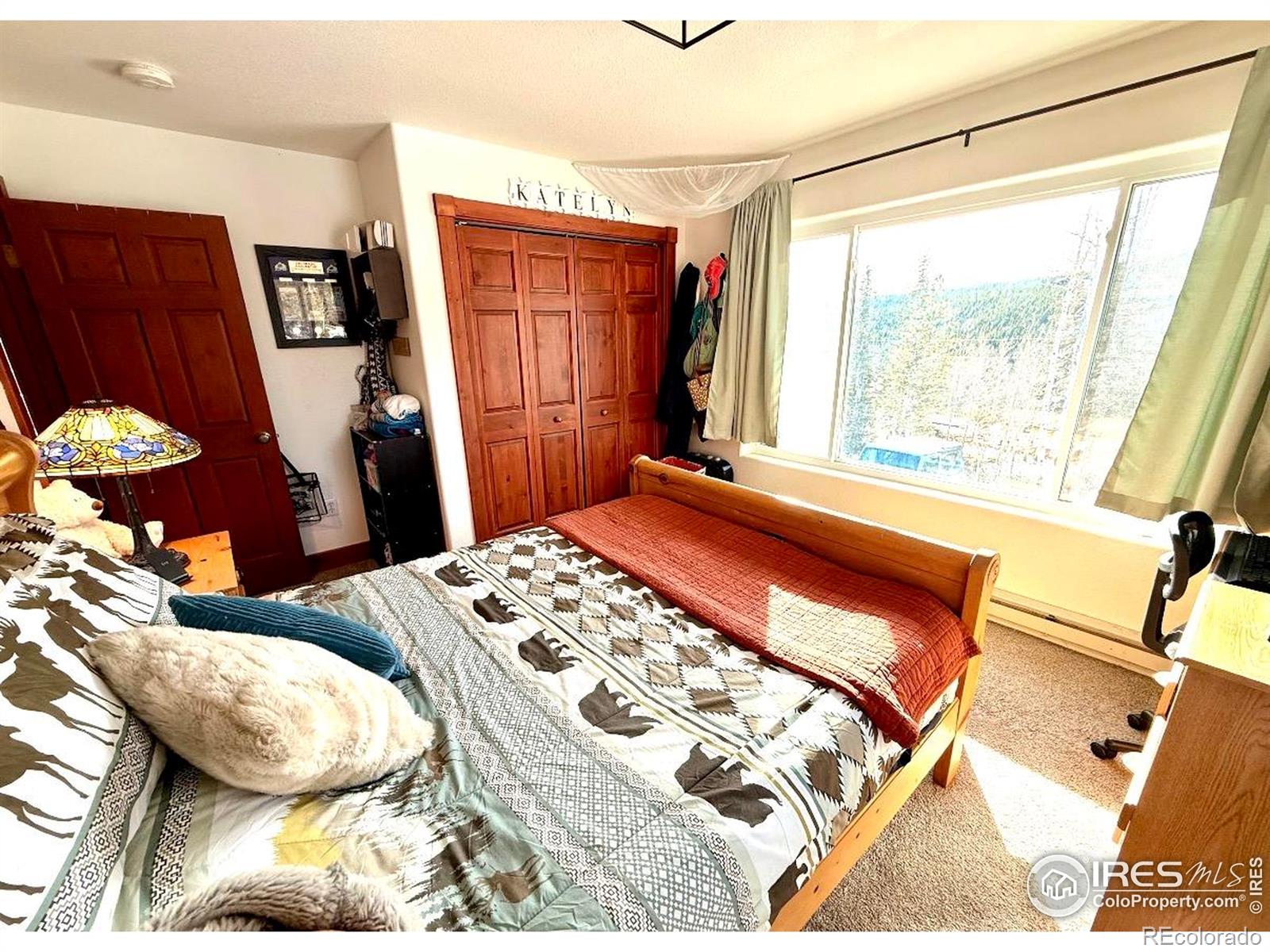 MLS Image #21 for 3689  ottawa way,red feather lakes, Colorado