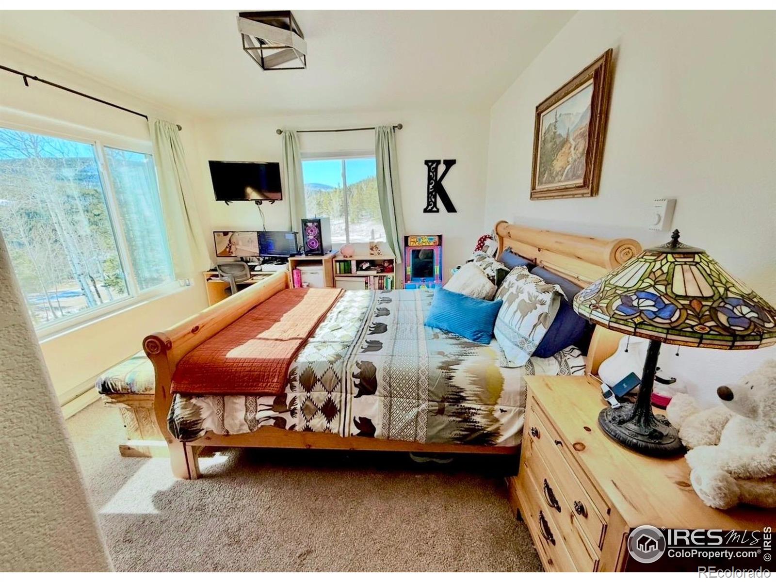 MLS Image #25 for 3689  ottawa way,red feather lakes, Colorado