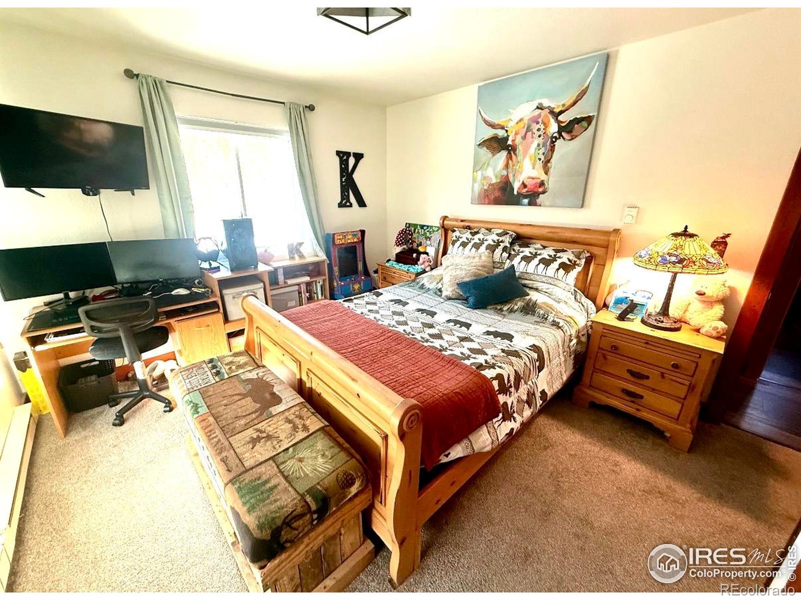 MLS Image #26 for 3689  ottawa way,red feather lakes, Colorado
