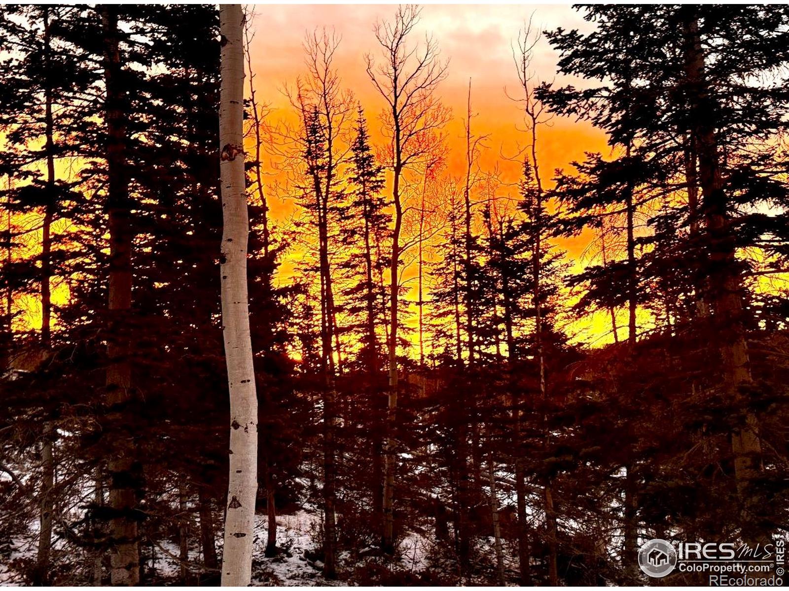 MLS Image #40 for 3689  ottawa way,red feather lakes, Colorado