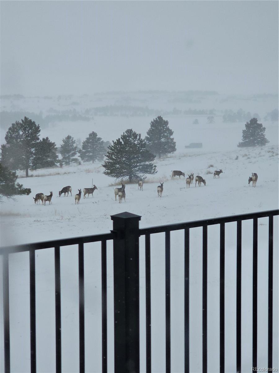 MLS Image #32 for 33442  county 25 road,elizabeth, Colorado