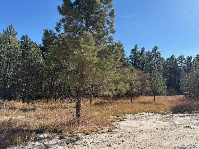 MLS Image #6 for 3715  el rancho way,monument, Colorado