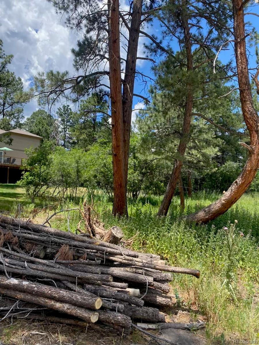 MLS Image #3 for 1025  tenderfoot drive,larkspur, Colorado