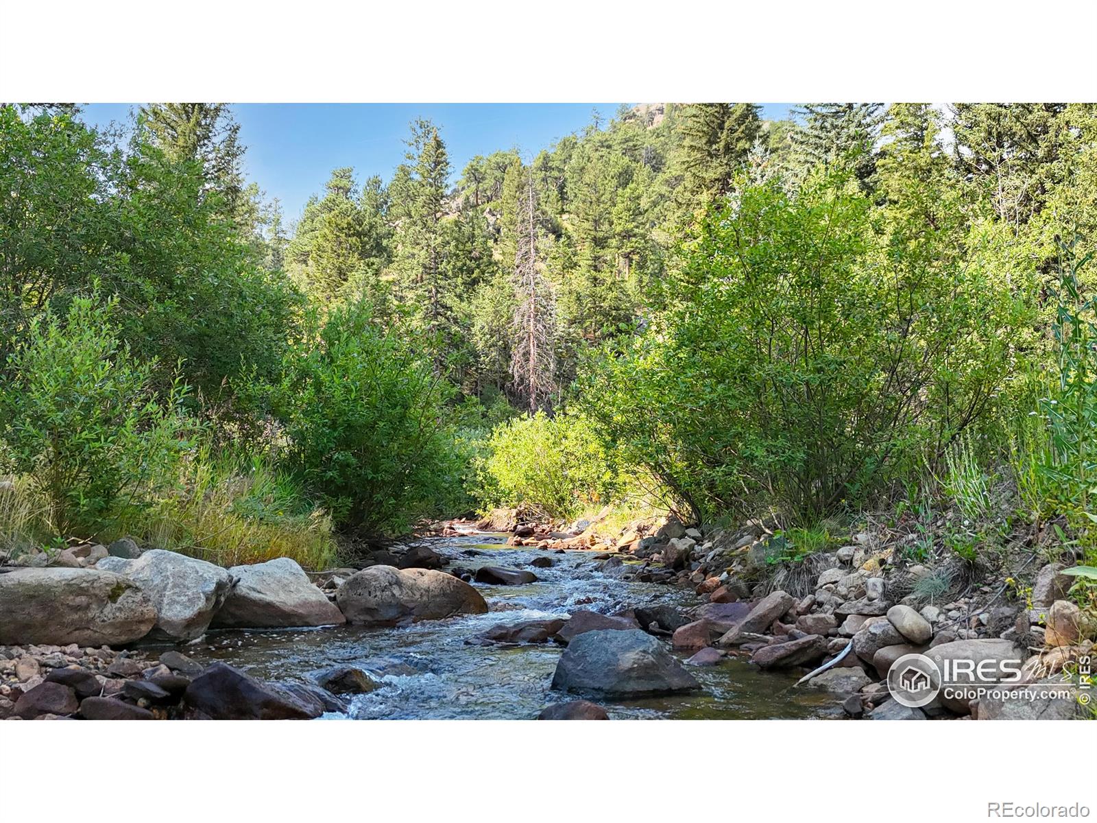 MLS Image #22 for 163  west creek road,glen haven, Colorado