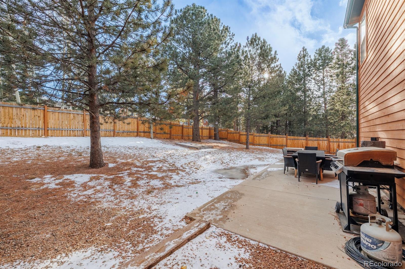MLS Image #26 for 21  shadowood place,woodland park, Colorado