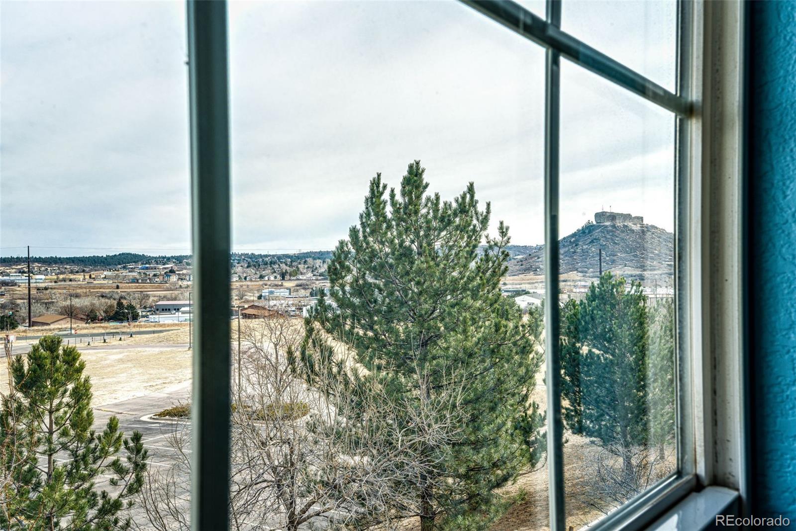 MLS Image #19 for 1482  nemrick place,castle rock, Colorado
