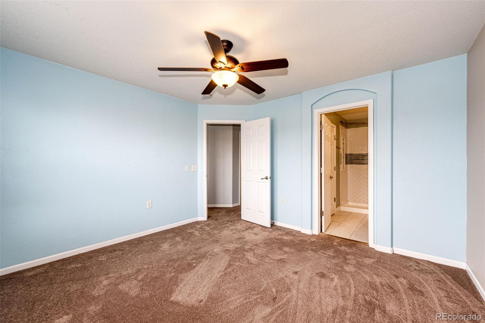 MLS Image #20 for 1482  nemrick place,castle rock, Colorado