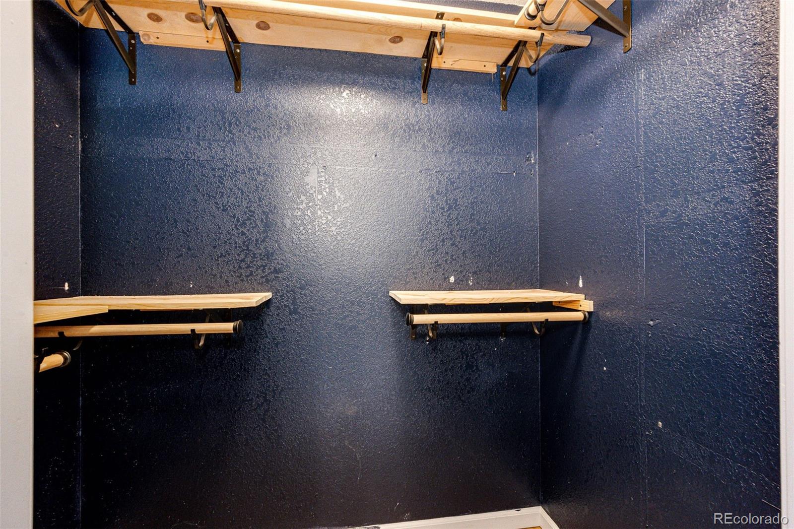 MLS Image #22 for 1482  nemrick place,castle rock, Colorado