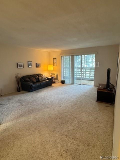 MLS Image #7 for 350 s clinton street,denver, Colorado