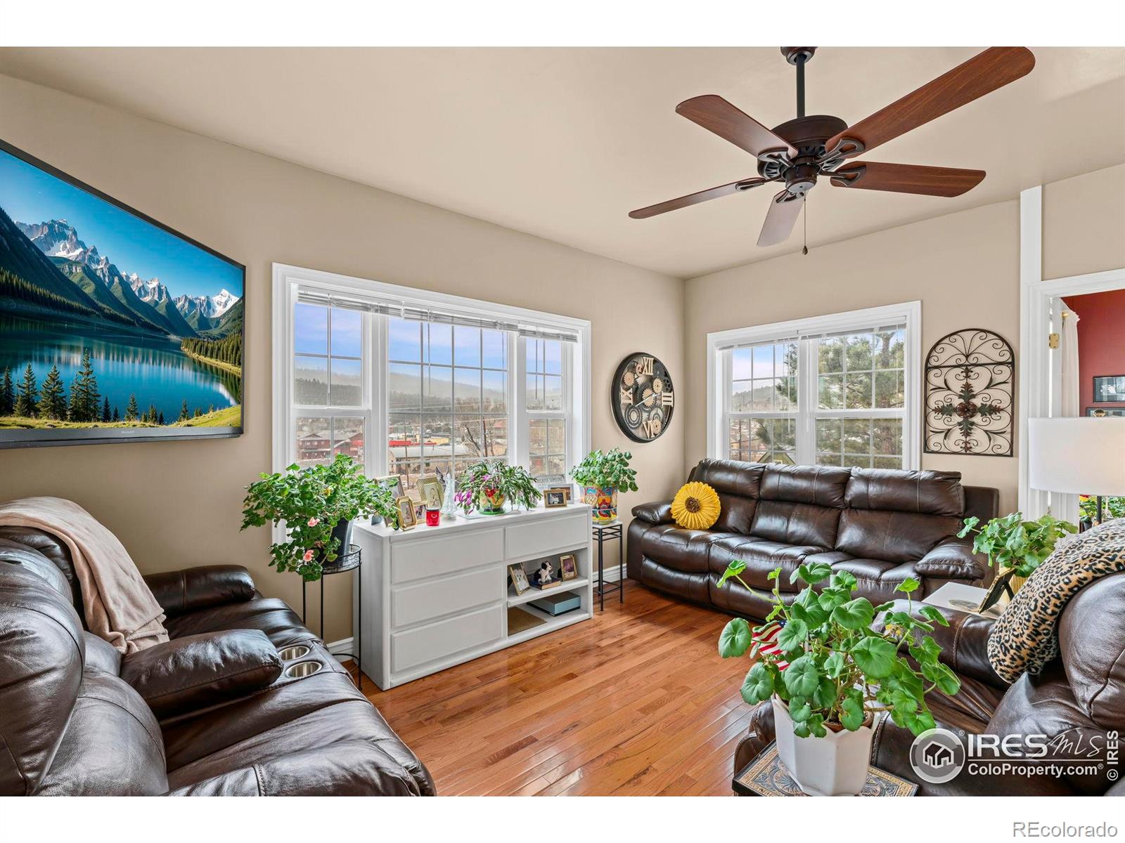 MLS Image #3 for 365 n bridge street,nederland, Colorado