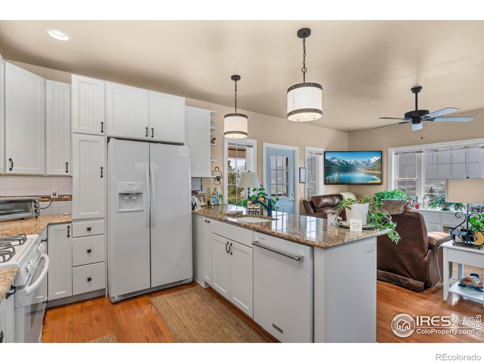 MLS Image #5 for 365 n bridge street,nederland, Colorado