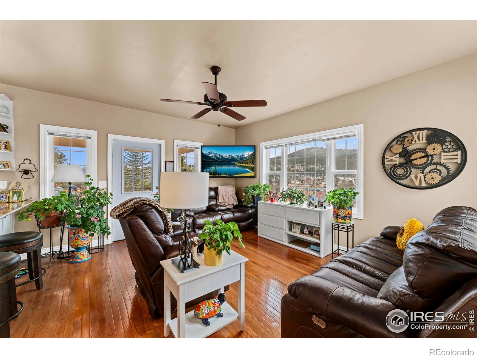 MLS Image #6 for 365 n bridge street,nederland, Colorado